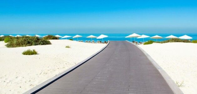 Saadiyat Island Area Guide 2024